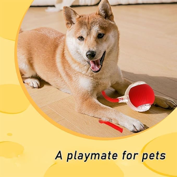 Smart Interactive Rolling Pet Ball – Auto-Moving LED Cat & Dog Toy | 360° Obstacle Avoidance, 3 Speed Modes, USB Rechargeable, Chirping Sound Play Ball