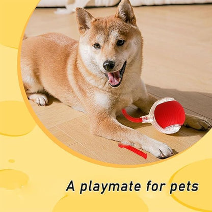 Smart Interactive Rolling Pet Ball – Auto-Moving LED Cat & Dog Toy | 360° Obstacle Avoidance, 3 Speed Modes, USB Rechargeable, Chirping Sound Play Ball