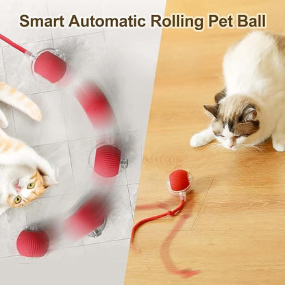 Smart Interactive Rolling Pet Ball – Auto-Moving LED Cat & Dog Toy | 360° Obstacle Avoidance, 3 Speed Modes, USB Rechargeable, Chirping Sound Play Ball