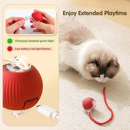 Smart Interactive Rolling Pet Ball – Auto-Moving LED Cat & Dog Toy | 360° Obstacle Avoidance, 3 Speed Modes, USB Rechargeable, Chirping Sound Play Ball